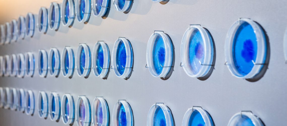 Bar-Shai: Objectivity [tentative]