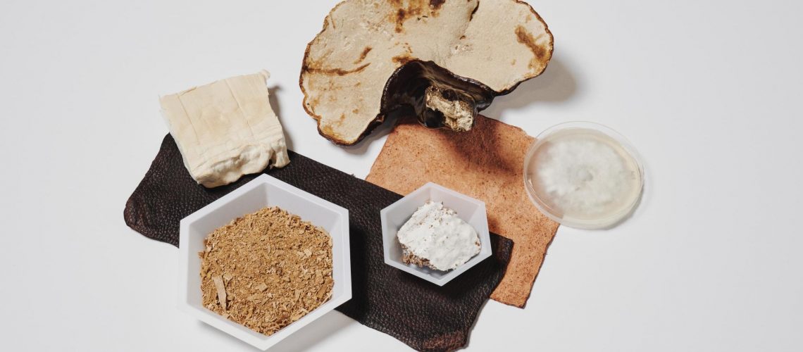 2020-02-myloconceptual-001-1