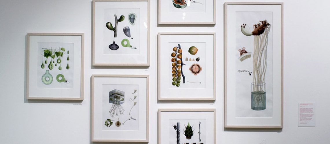 growthassembly_install